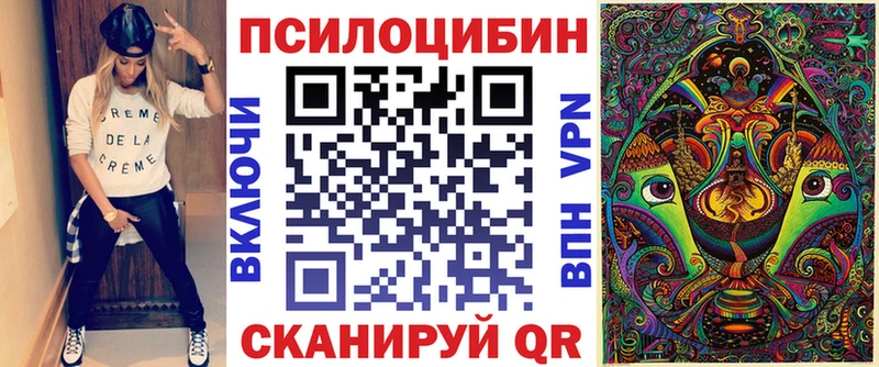 купить закладку  Белинский  Псилоцибиновые грибы Psilocybe 